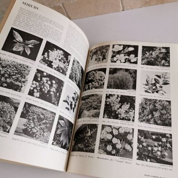1973 Sunset Basic Gardening Illustrated, Vintage Plants Landscape Backyard Retro - Picture 7 of 9